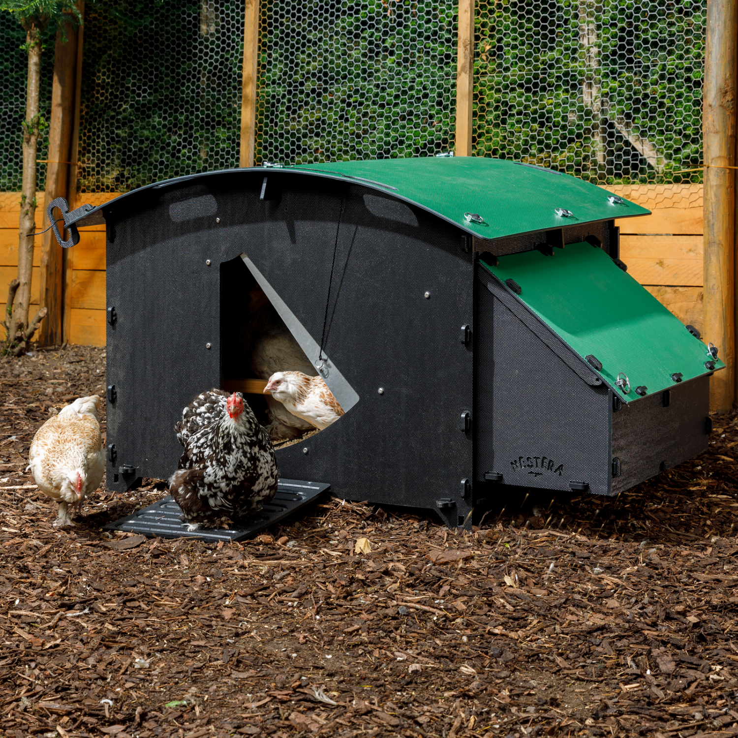 Poulailler au sol pour 8 poules – grand modèle idéal poussin, sans entretien – garanti 25 ans - Image 1