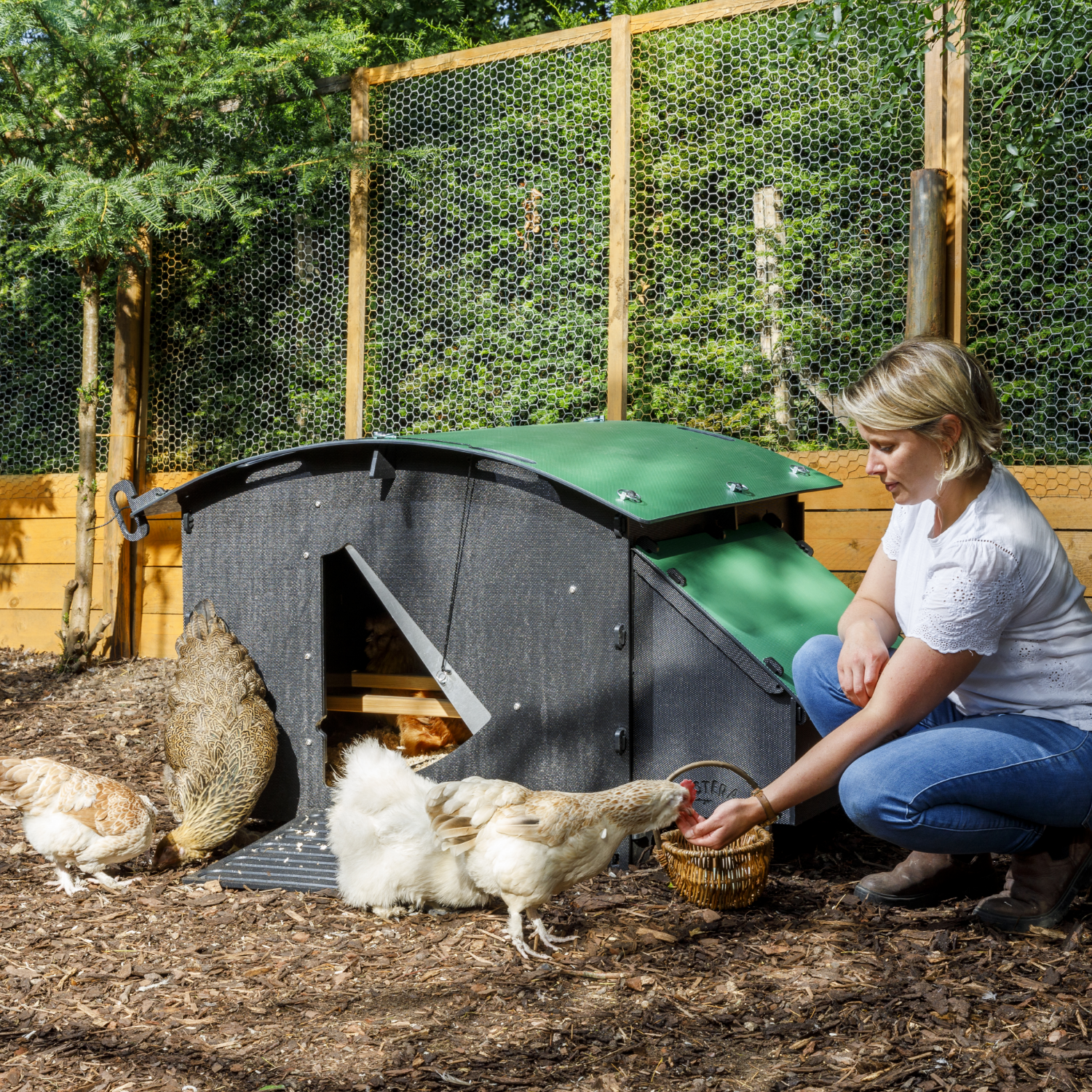 Poulailler au sol pour 8 poules – grand modèle idéal poussin, sans entretien – garanti 25 ans - Image 2