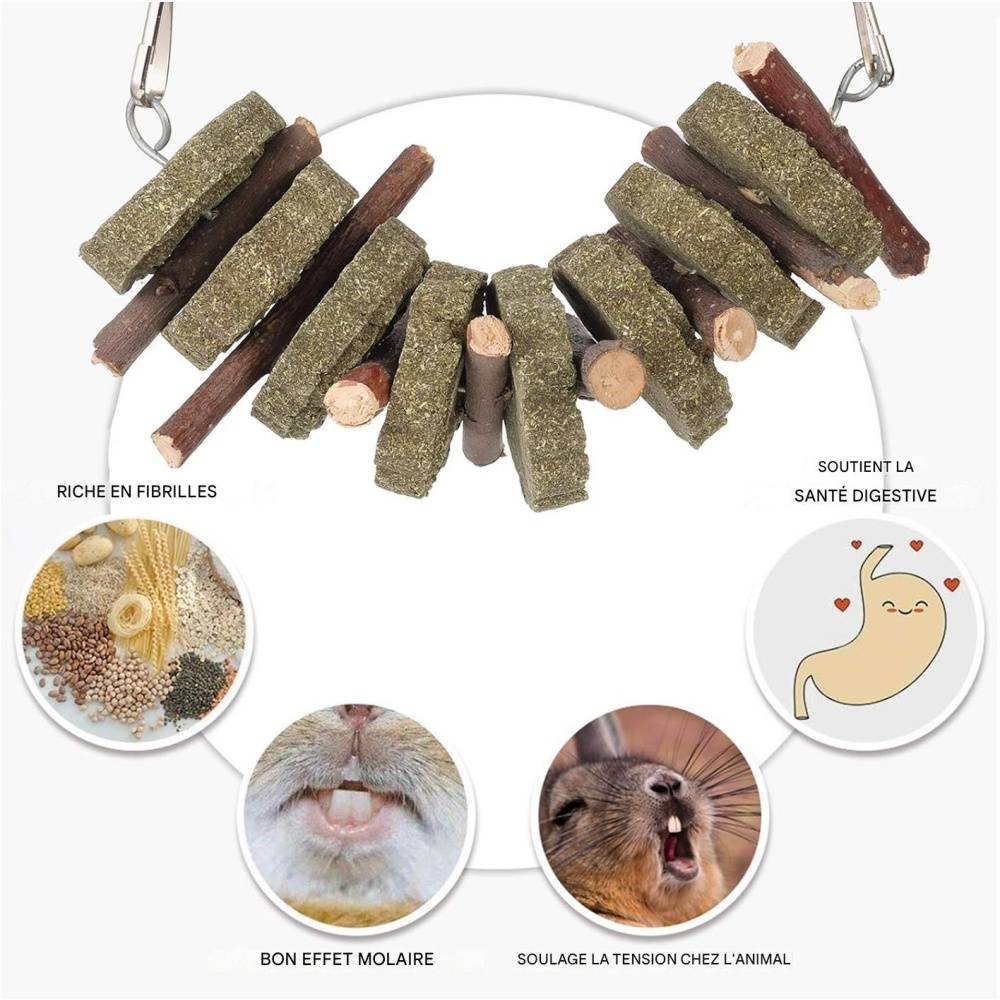 DtopbuyAge - Jouets à mâcher pour lapins, hamsters, chinchillas, cobayes DtopbuyAge - Image 3