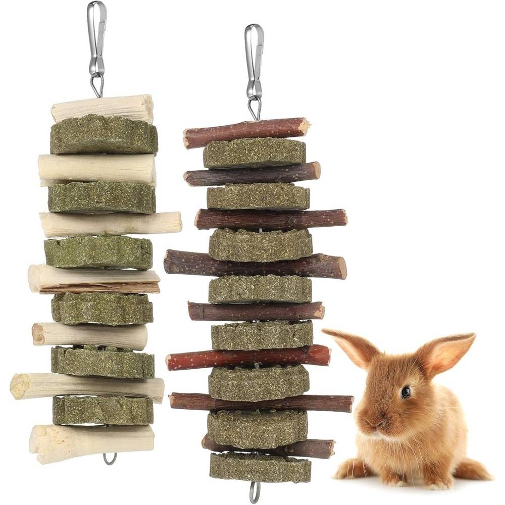 DtopbuyAge - Jouets à mâcher pour lapins, hamsters, chinchillas, cobayes DtopbuyAge
