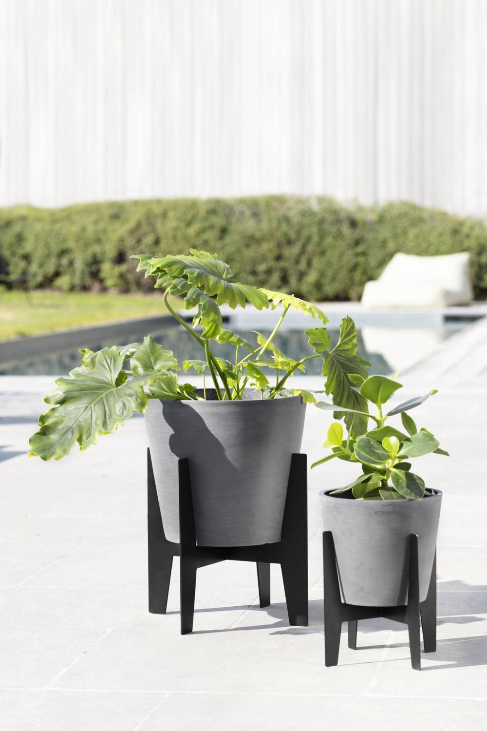 Ecopots - Pieds pour pot Stilts 20 Noir - 22 x 22 x H. 22 cm ECOPOTS - Imagen 4