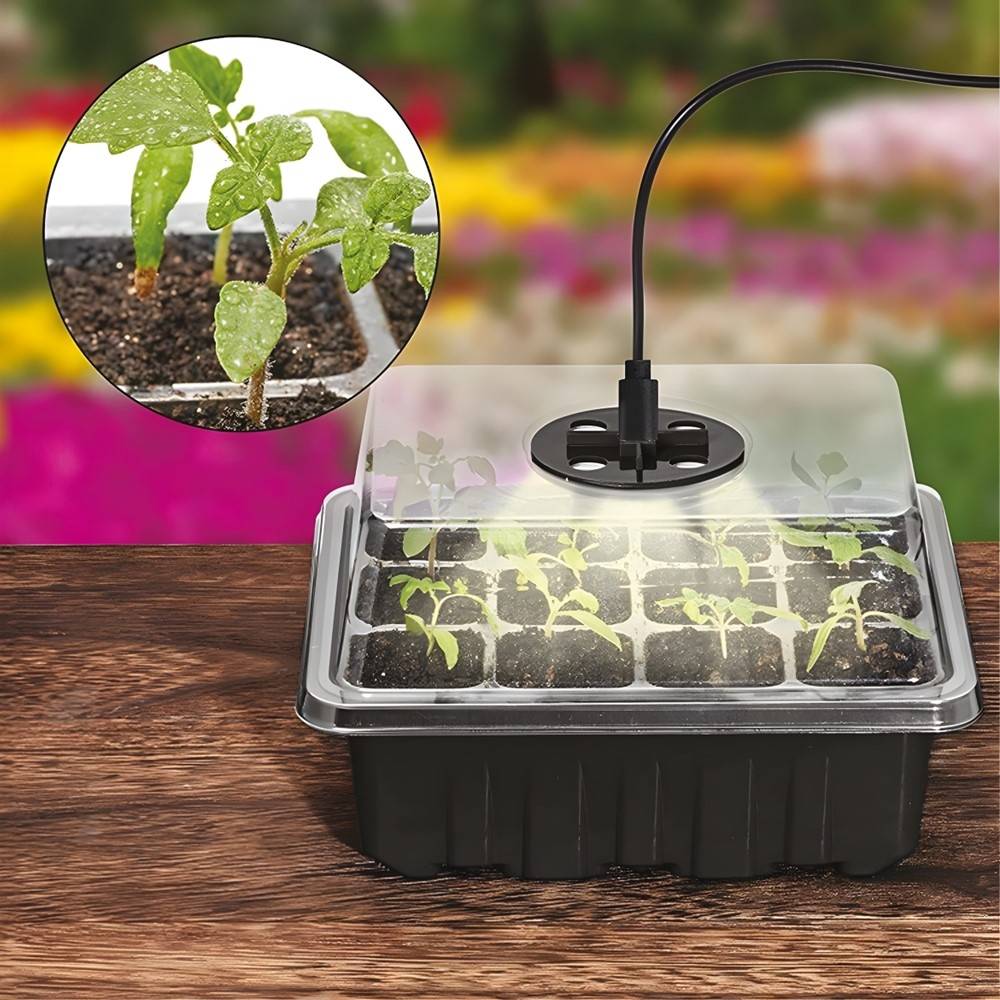 Kit de germination - Set de 5 Plateaux pour semis avec lumière LED de croissance - Image 5