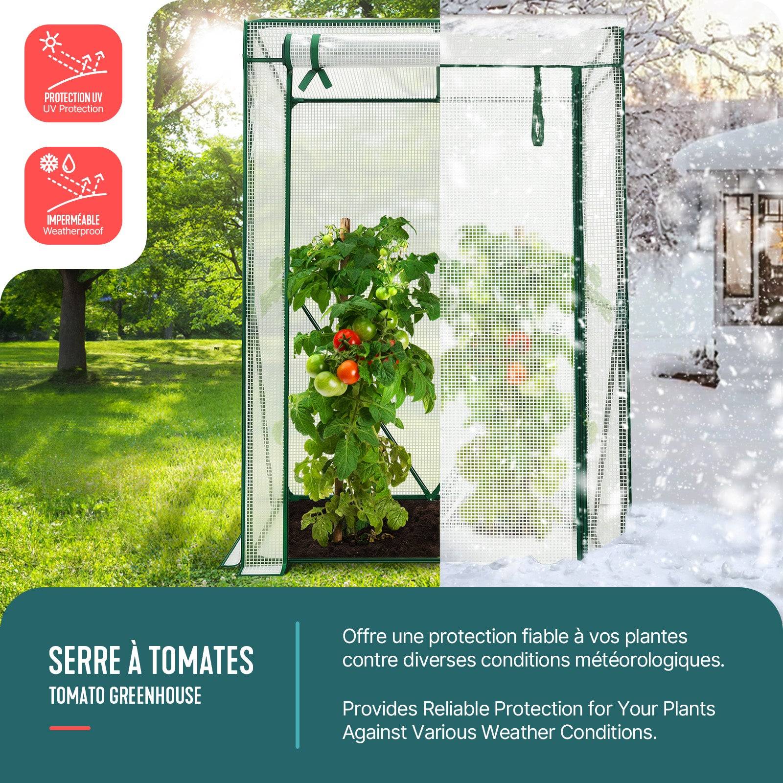 Serre de jardin Serre tomates avec grande porte enroulable bache PE renforcee 135g/m2 100x50x150cm Blanc - Image 2
