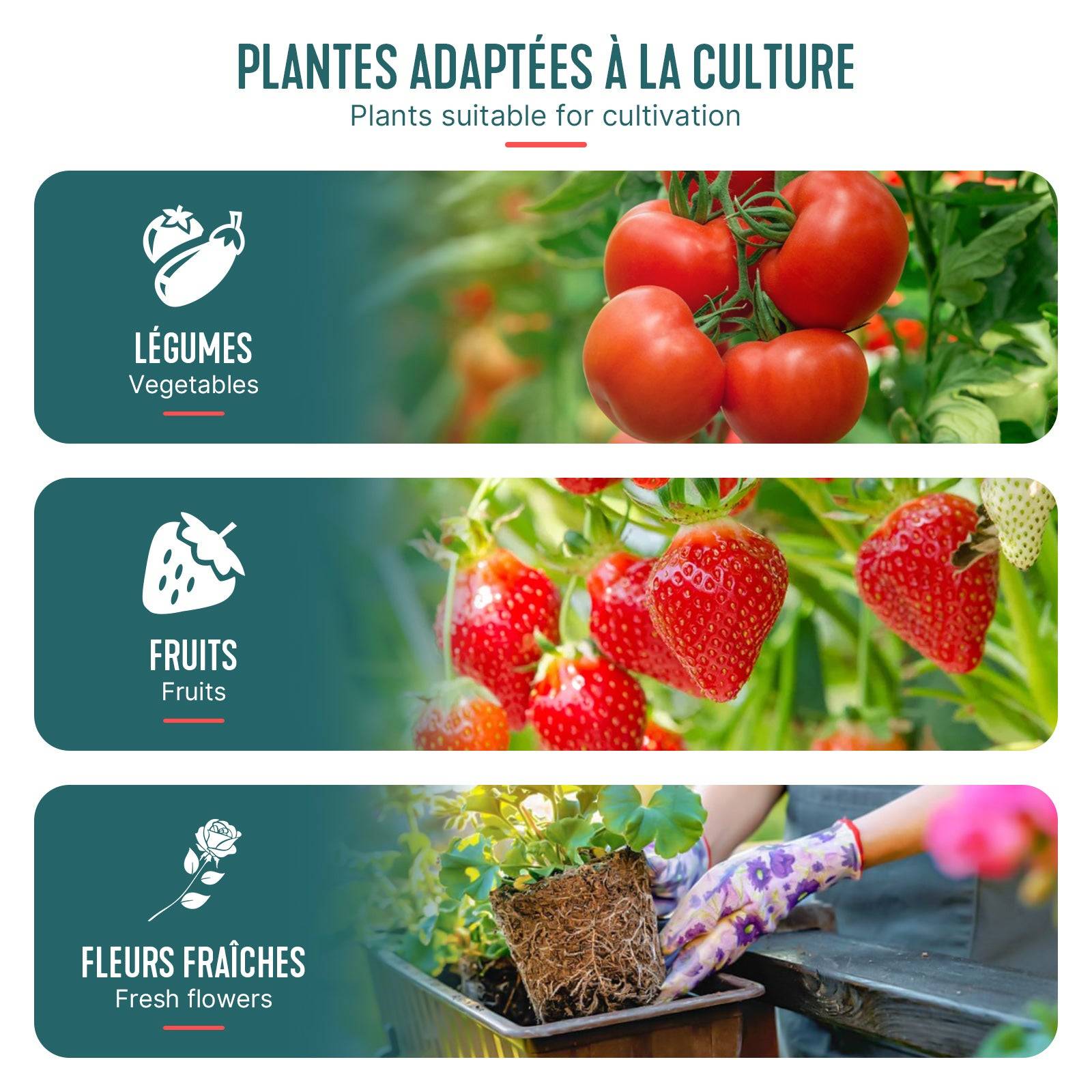 Serre de jardin Serre tomates avec grande porte enroulable bache PE renforcee 135g/m2 100x50x150cm Blanc - Image 7
