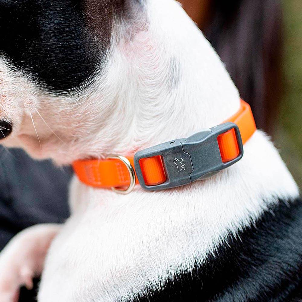 Ferplast - Collier pour Chiens EVOLUTION C25/56 avec Boucle Magnétique, Hypoallergénique, Lavable, Vert - Imagen 3