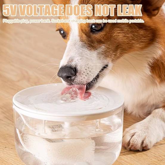 Fontaine à eau pour chat 1,5L - Silencieuse USB - Arrêt automatique - Filtration intégrée - Living123 - Image 5