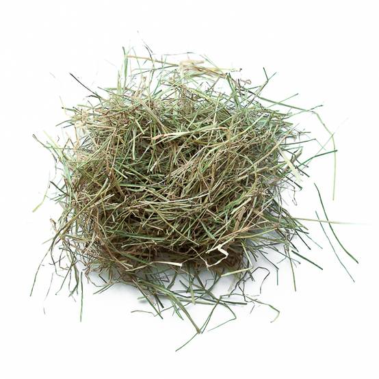 Foin de prairie pour lapins et rongeurs