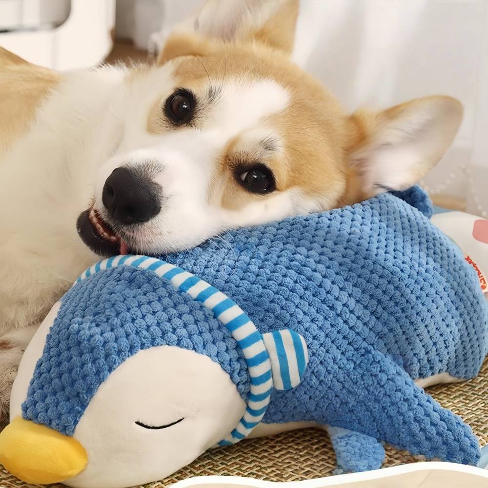 IntiMeg - Jouet en peluche pour chien en forme de pingouin IntiMeg - Image 5