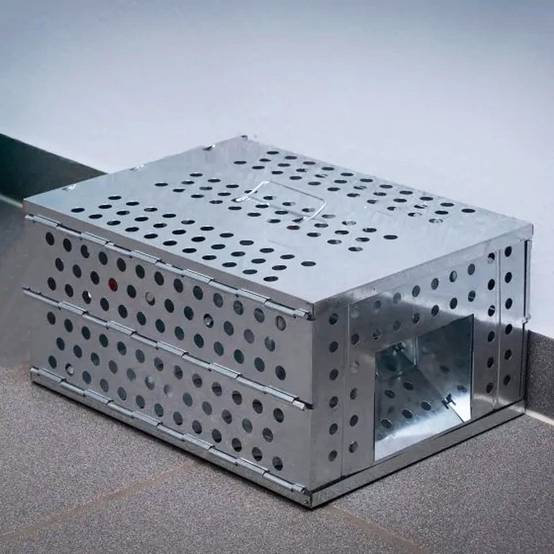 Piège à Rongeurs Rats et Souris - Pliable en Acier Galvanisé 30x22x15 cm - Sans Blessure - Réutilisable, Naturelle et Efficace - Image 7