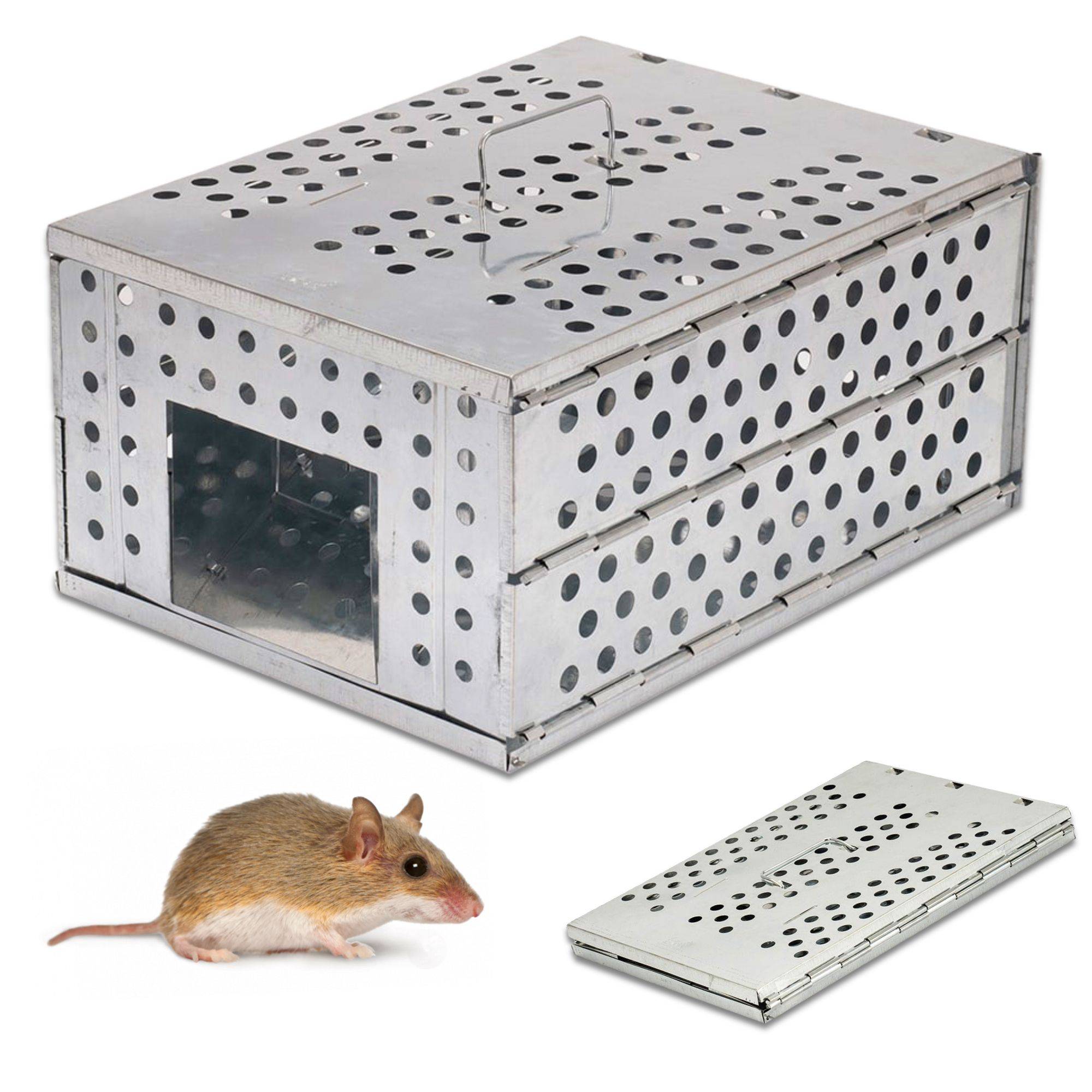 Piege A Rat Jardiland