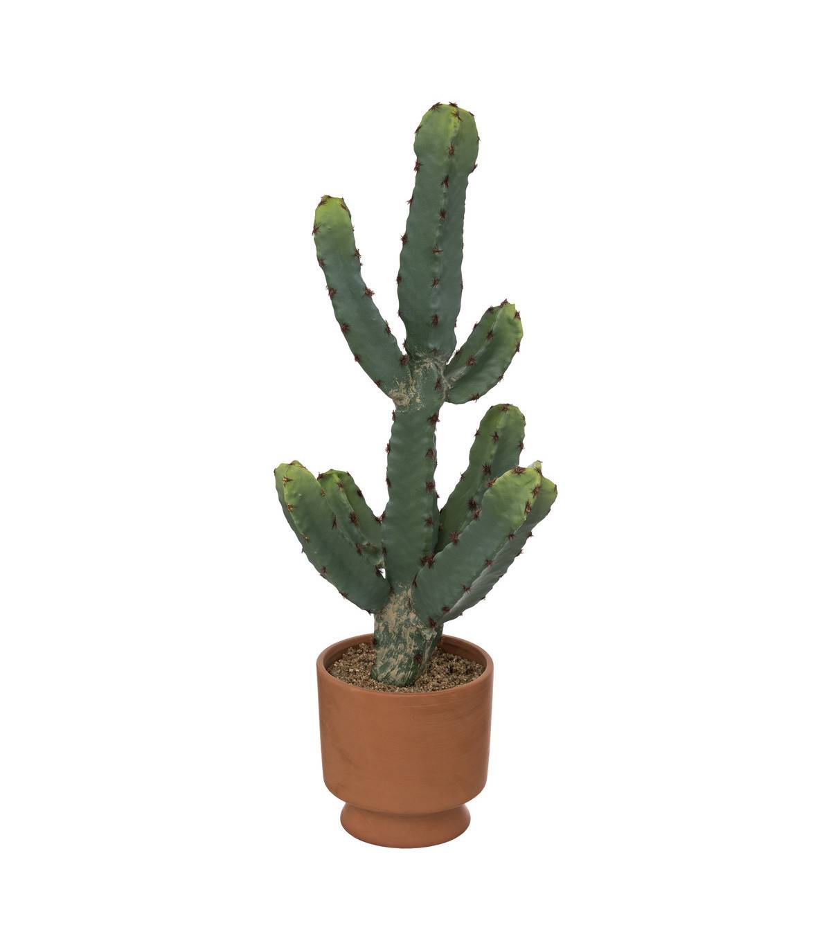 Plante artificielle Cactus dans Pot en Terre cuite H 49 cm - Imagen 1