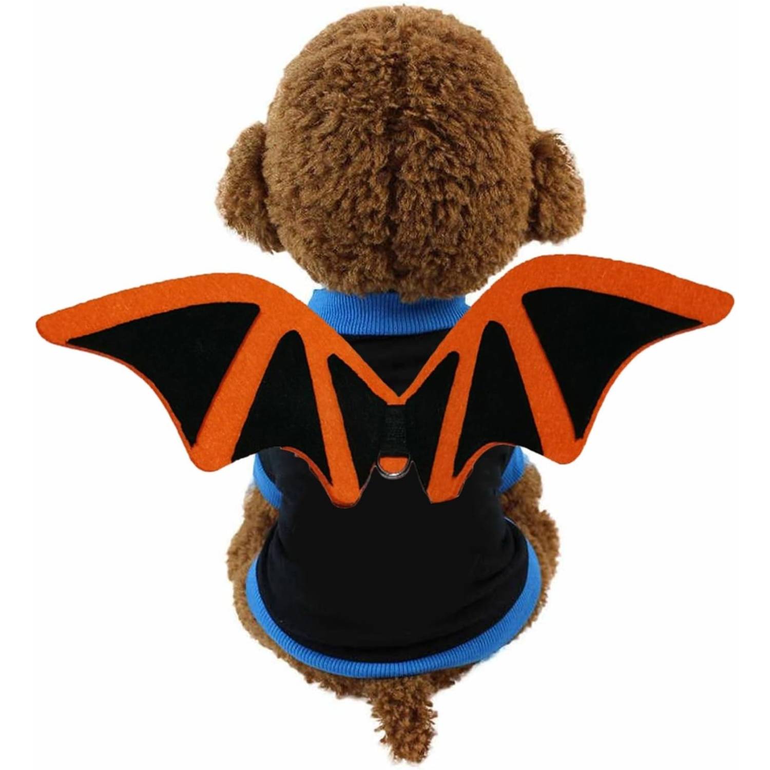 DtopbuyAge - Déguisement Halloween pour Chien - Facile à Mettre S DtopbuyAge - Image 4