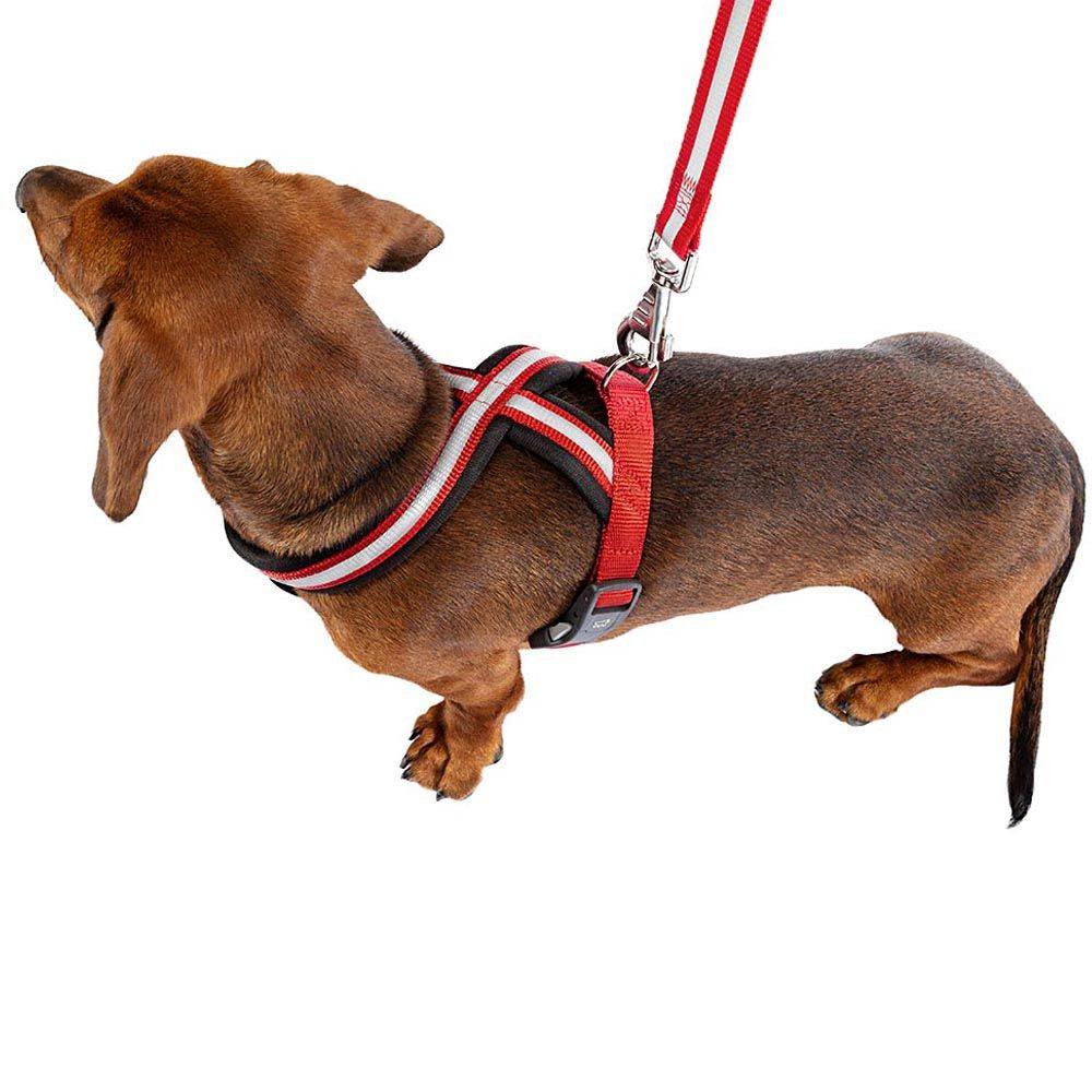 Ferplast - Harnais pour Chiens Petite Taille DAYTONA CROSS S, Réfléchissant, avec Boucle Magnétique - Imagen 4