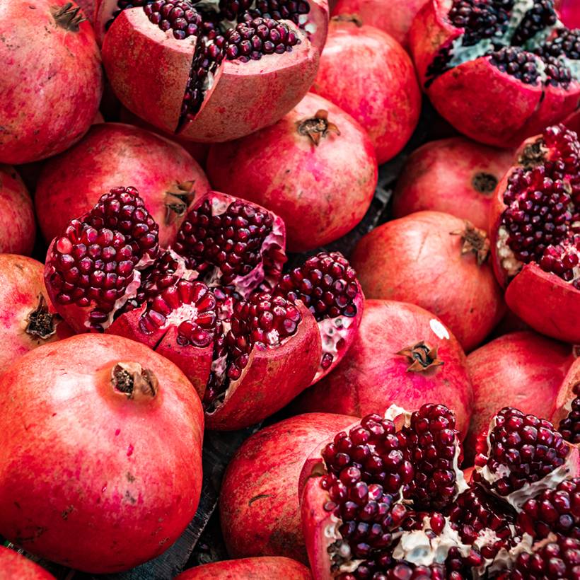Grenadier à fruits - Punica granatum Acco Pot de 7,5L/10L, Demi-Tige
