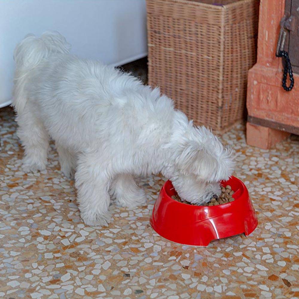 Ferplast - Ferplast Gamelle pour chien Magnus Slow, Gamelle Antidéglutition, durable, antidérapant, gamelle d'eau pour chien, améliore la digestion, 0.5 L, Rouge - Imagen 3