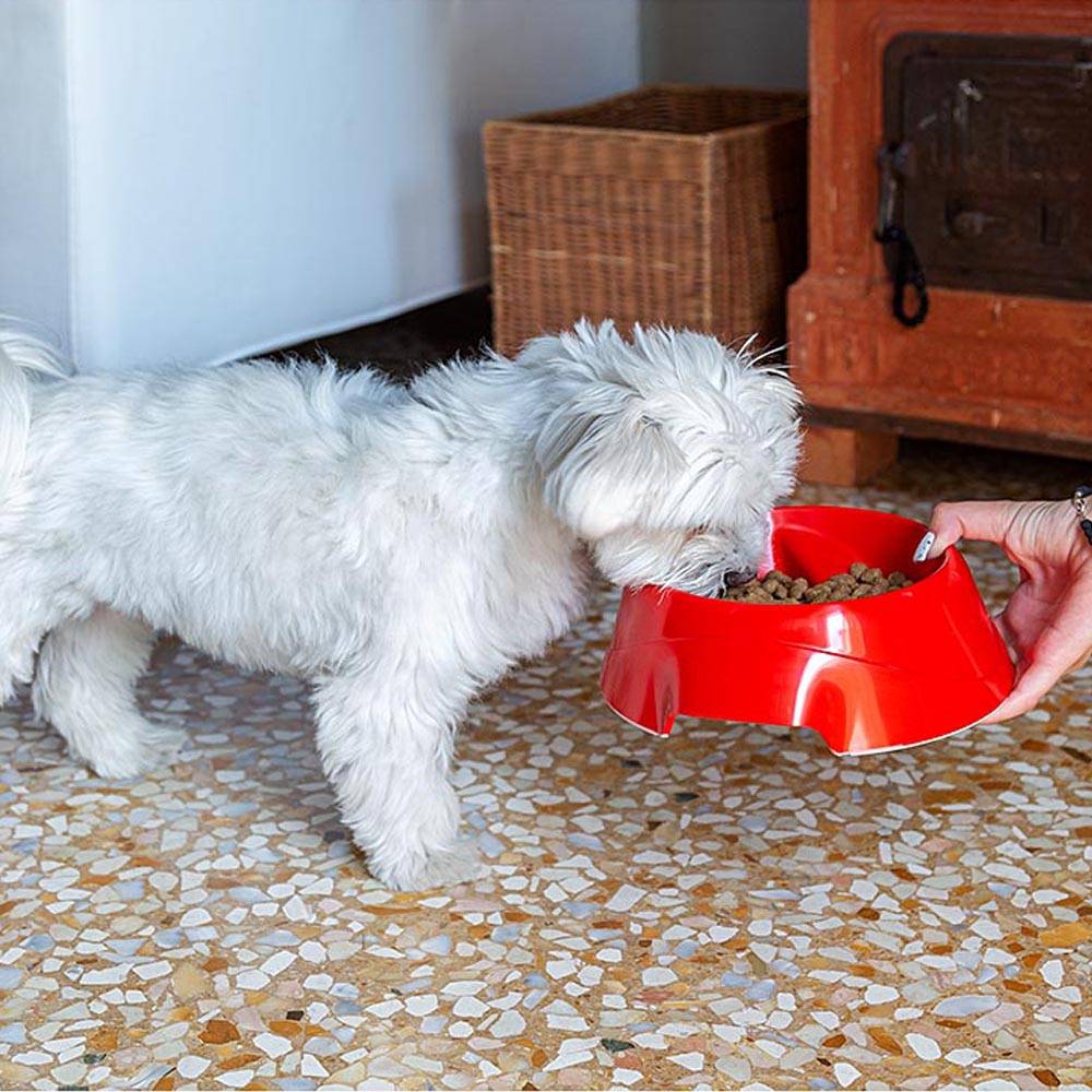 Ferplast - Ferplast Gamelle pour chien Magnus Slow, Gamelle Antidéglutition, durable, antidérapant, gamelle d'eau pour chien, améliore la digestion, 0.5 L, Rouge - Imagen 4