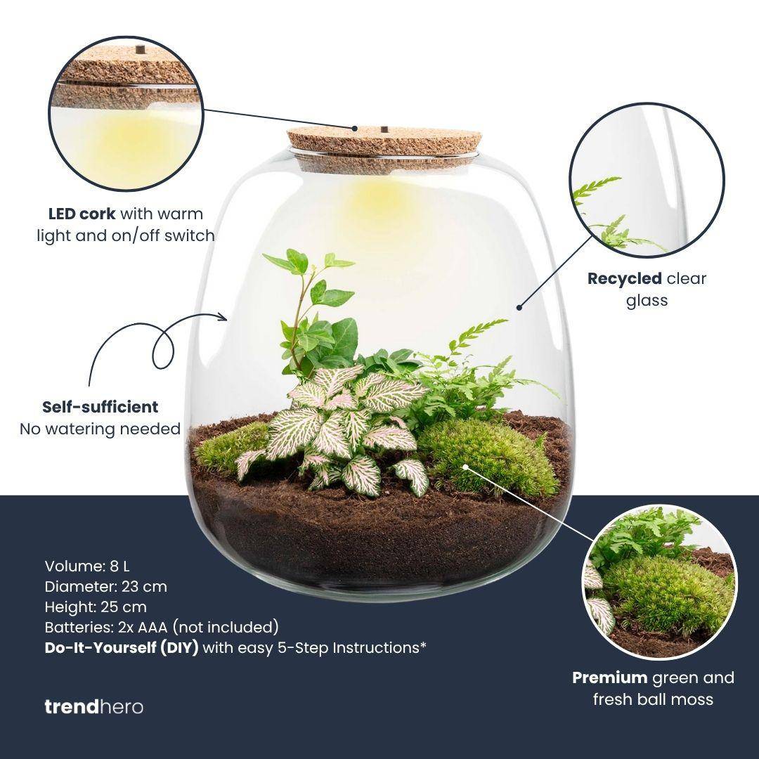 Planten Terrarium - H25cm - Image 2