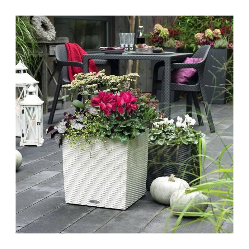Lechuza - Pot De Fleur Lechuza Cube Cottage 50 - Kit Complet, Blanc - Plastique - 14 L - 49 X 49 X 49,5 Cm - Imagen 5