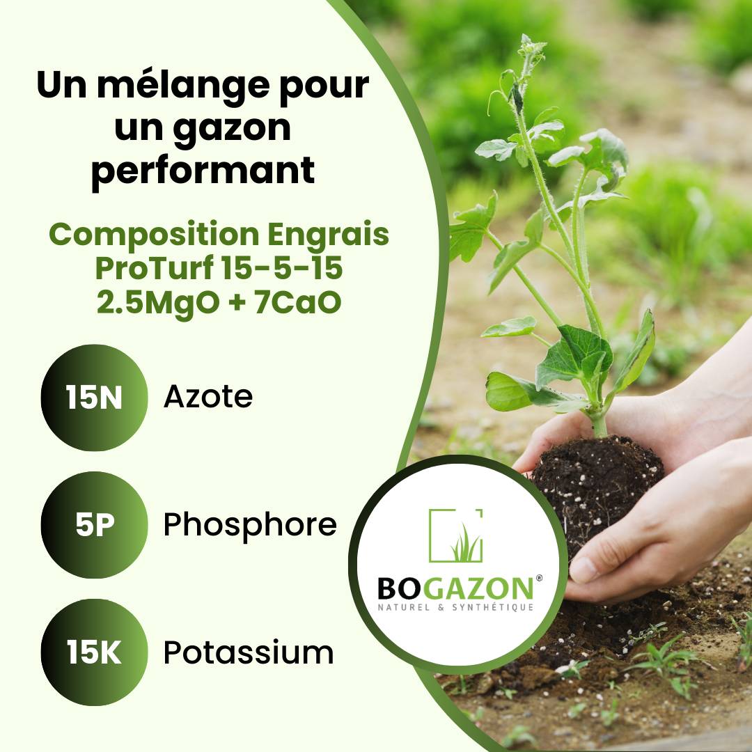 Engrais Gazon ProTurf® 15-5-15 5KG Bogazon® | Fertilisant Terrain de Sport & Pelouse Résistante | Croissance Rapide & Reverdissement Intense - Image 5