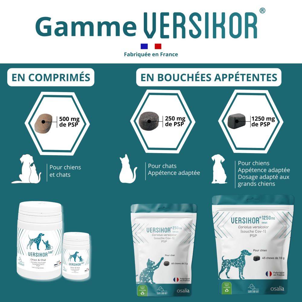 Comprimés Versikor 500 pour chien et chat - 180 comprimés - Image 5