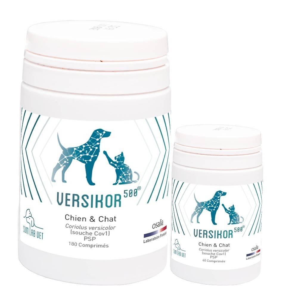 Comprimés Versikor 500 pour chien et chat - 180 comprimés - Image 2