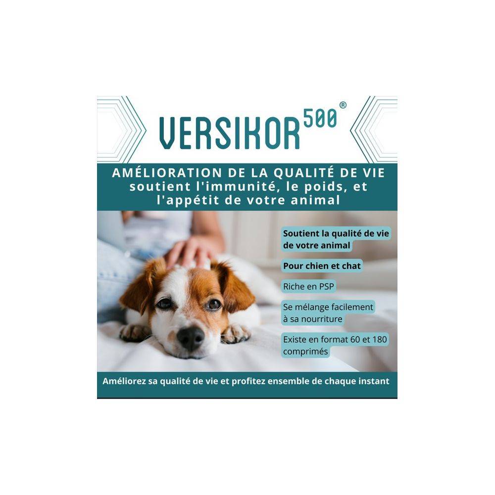 Comprimés Versikor 500 pour chien et chat - 180 comprimés - Image 6