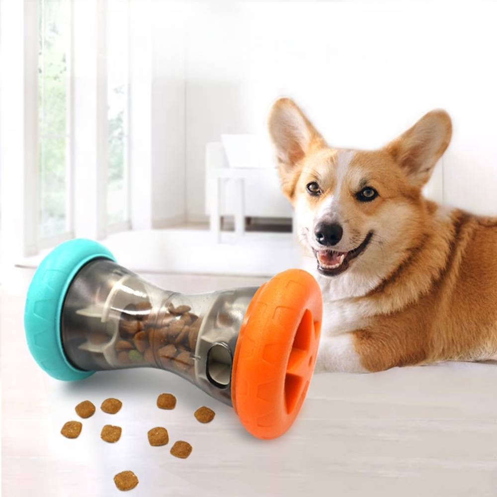 Harnais pour chien et chat l - IntiMeg - Image 4