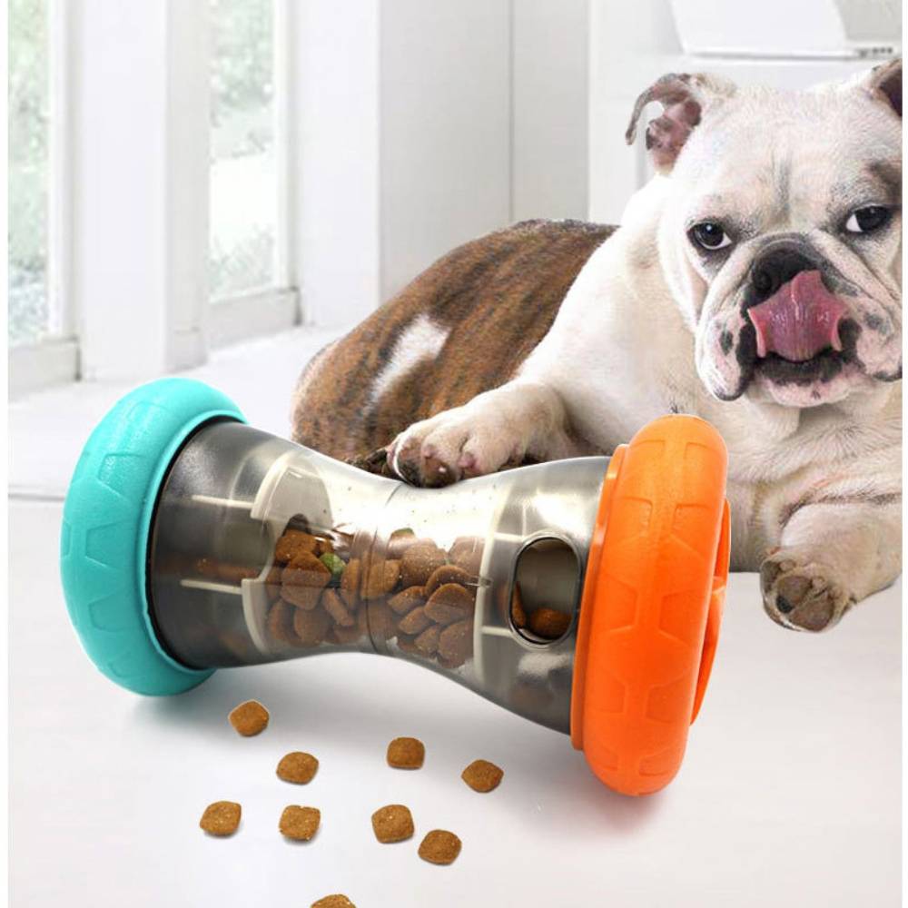 Harnais pour chien et chat l - IntiMeg - Image 5