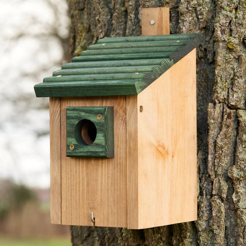 Mangeoire oiseaux extérieur à suspendre pour oiseaux sauvages en bois massif toit pente vert