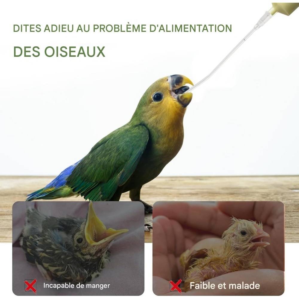 Sondes d'alimentation pour oisillons et tortues - Lytech - Image 3
