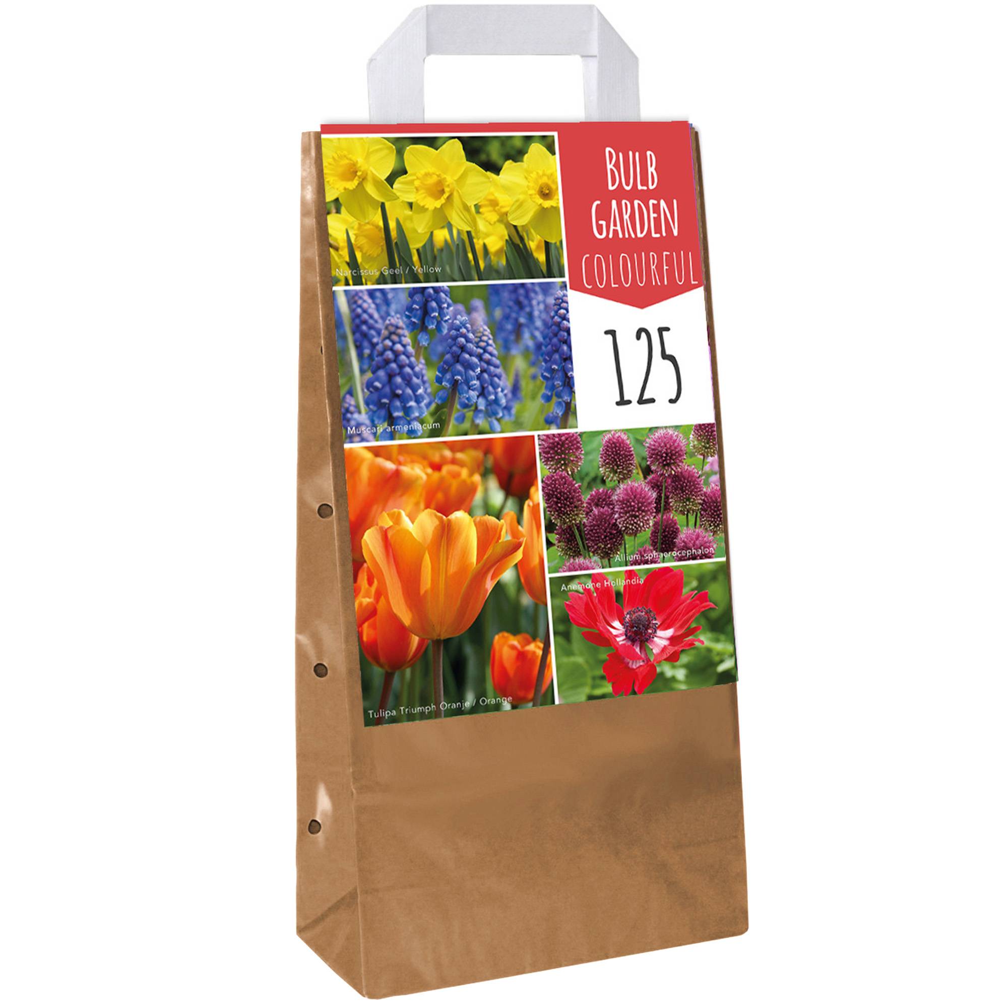 Gardenersdream - Jardin de bulbes Mélange coloré de tulipes, anémones, alliums, muscari et narcisses (125 bulbes) - Imagen 1