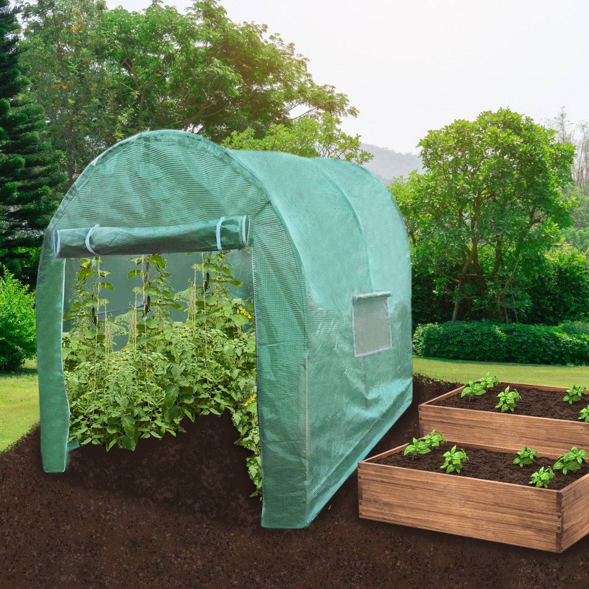 Monstershop - Serre Polytunnel 19mm 3m x 2m - Imagen 2