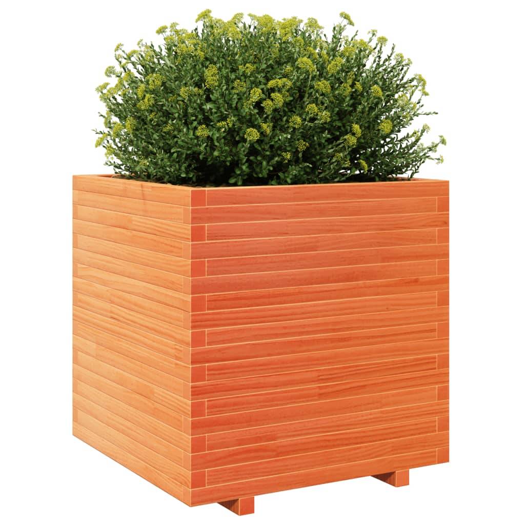 ComfortXL - Jardinière carrée haute bois de pin massif Cire marron 70x70x72,5cm – ComfortXL Outdoor Living - Image 4