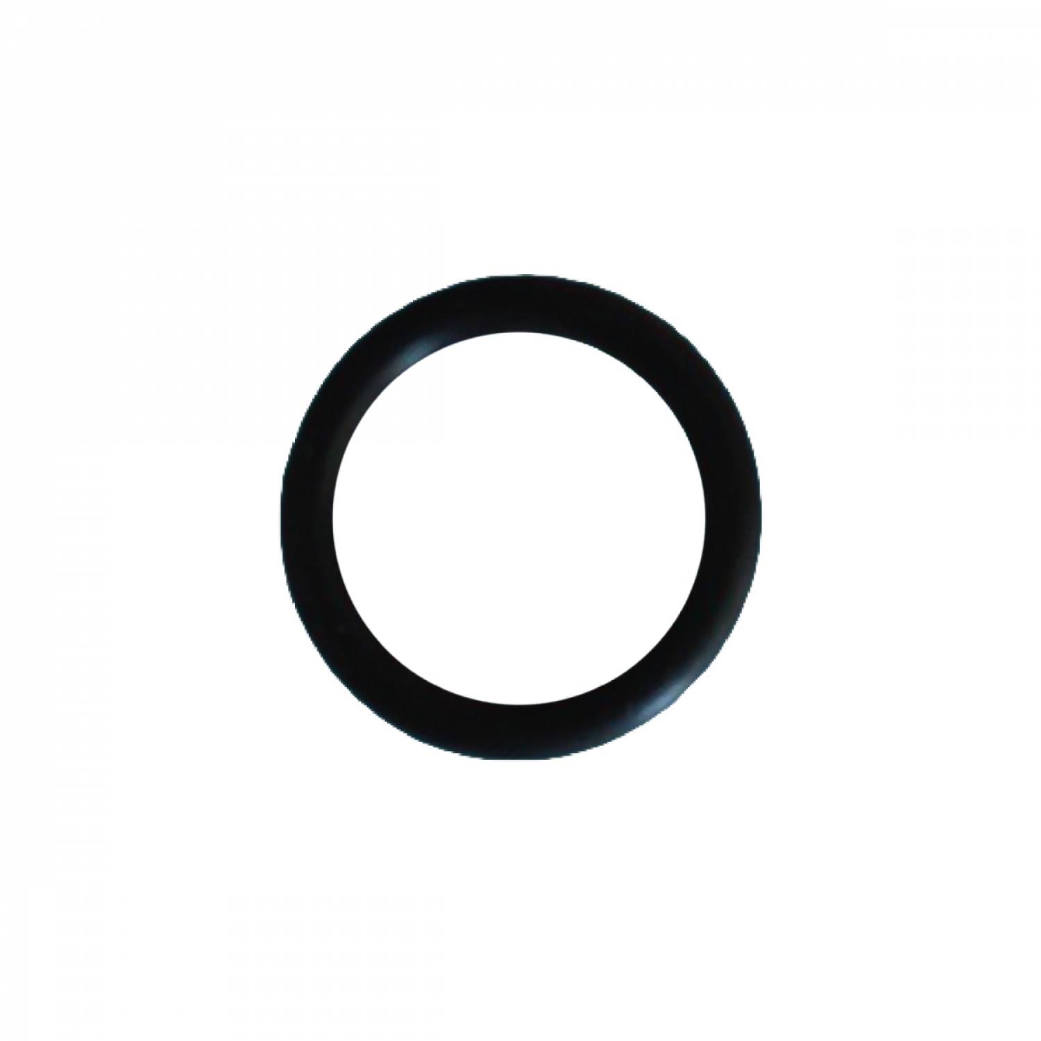 Hayward - Joint torique de cuve pour filtre à cartouche de piscine - Noir - CX900H - Hayward