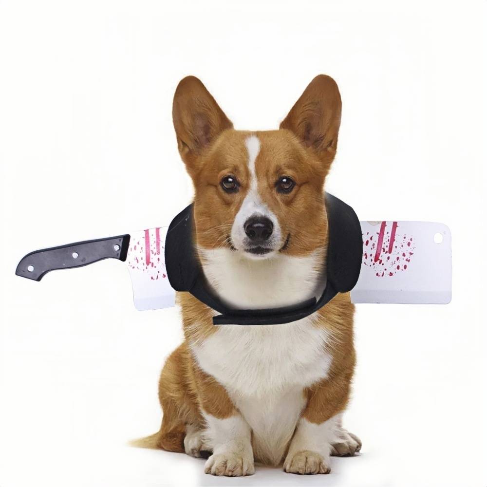 DtopbuyAge - Vêtements d'halloween pour chiens L DtopbuyAge - Image 1