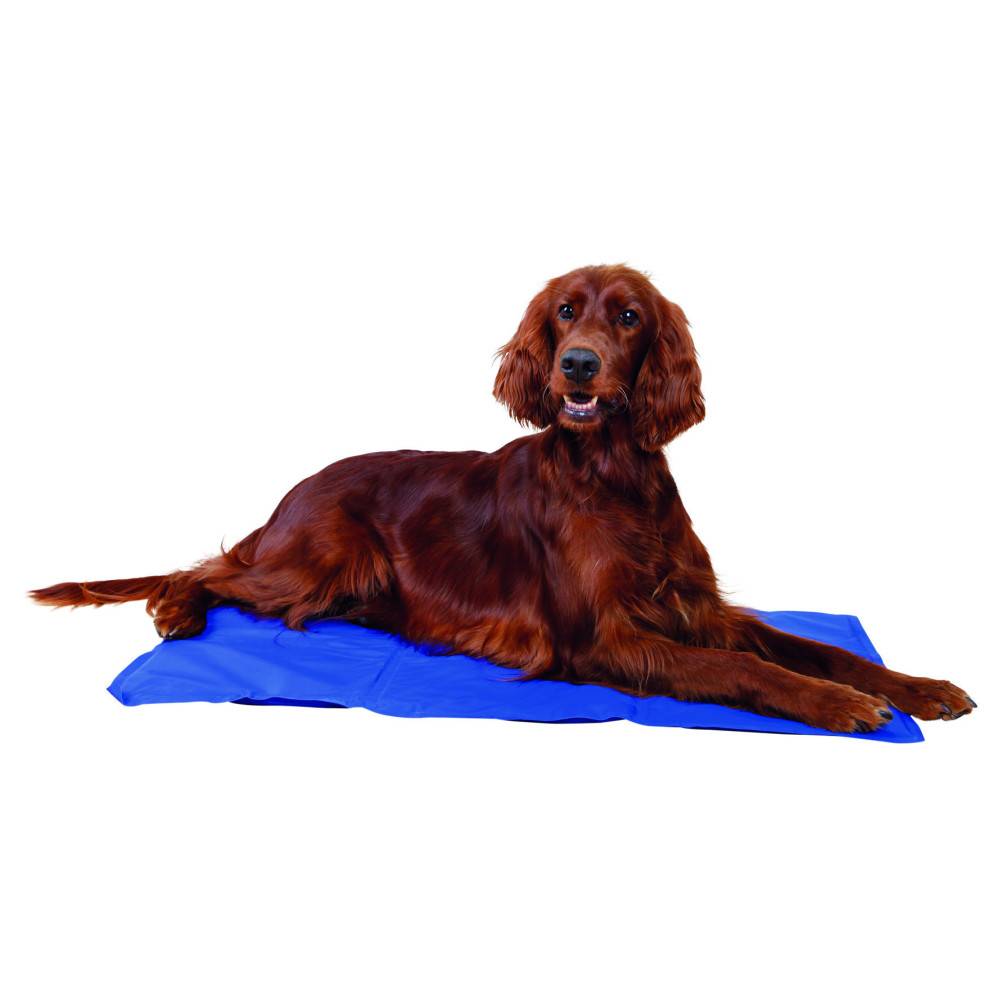 Trixie - Trixie - Matelas rafraîchissant L 65 x 50 cm, bleu  pour chien - Image 1
