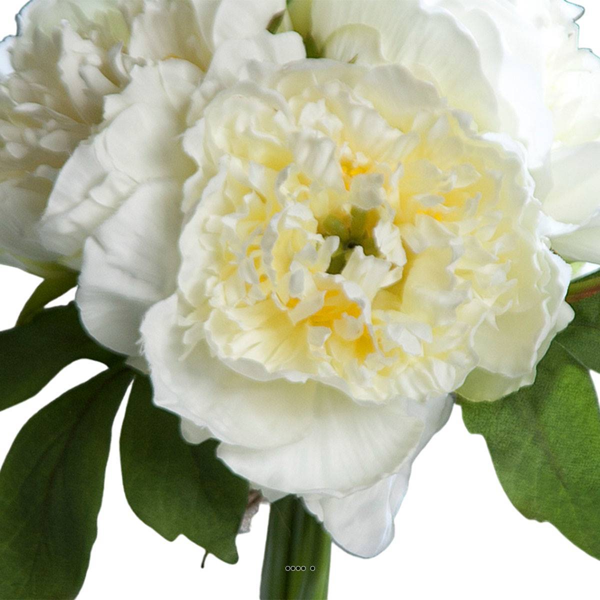Artificielles - Bouquet de 3 Pivoines Crème épanouies factice Corde et feuillage H26cm - couleur: Crème - Imagen 3