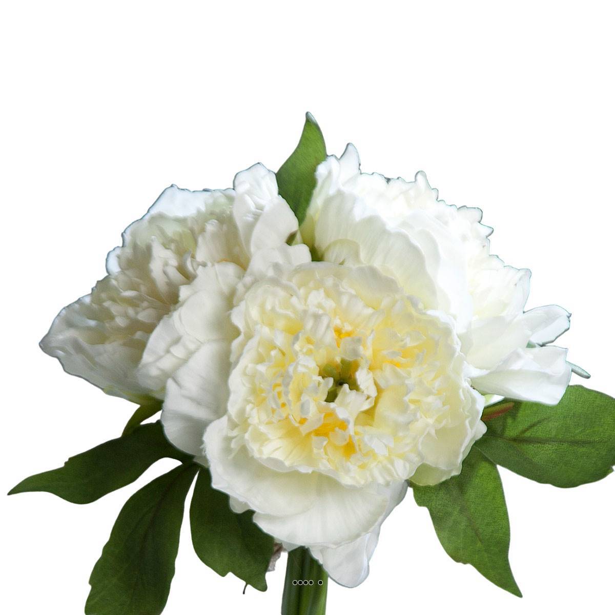Artificielles - Bouquet de 3 Pivoines Crème épanouies factice Corde et feuillage H26cm - couleur: Crème - Imagen 1