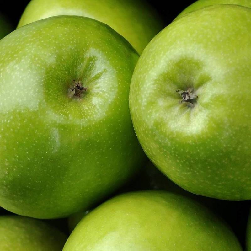 Pommier Granny Smith - Bon rendement - Pot de 15L - Palmette oblique - 150/175 cm - De 3,00 m à 5,00 m - Imagen 7
