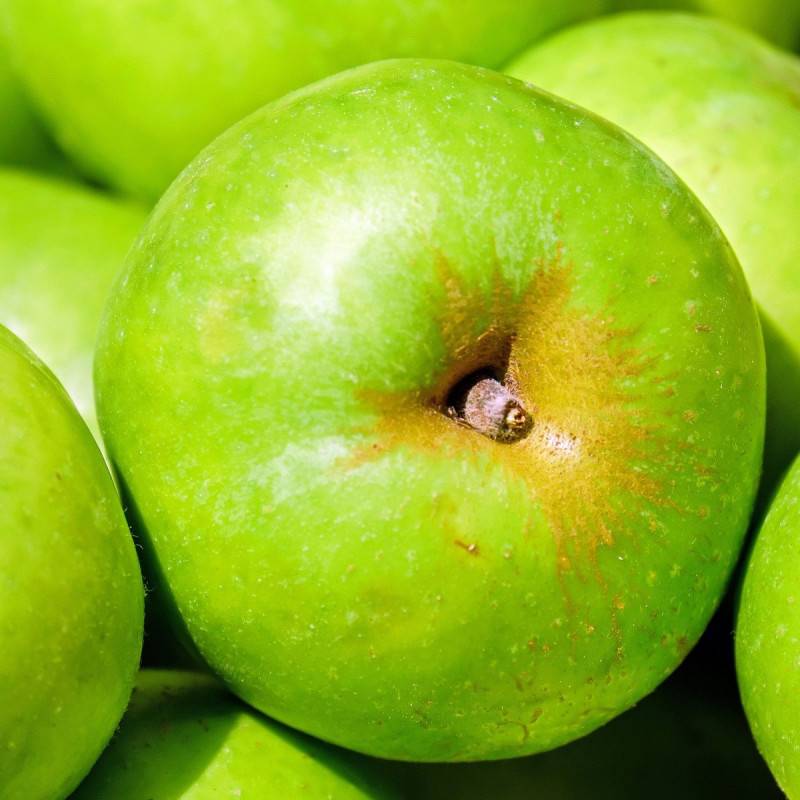 Pommier Granny Smith - Bon rendement - Pot de 15L - Palmette oblique - 150/175 cm - De 3,00 m à 5,00 m - Imagen 5