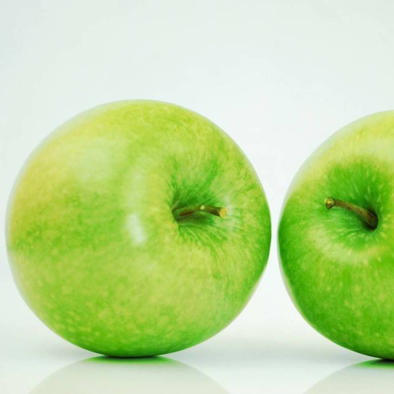 Pommier Granny Smith - Bon rendement - Pot de 15L - Palmette oblique - 150/175 cm - De 3,00 m à 5,00 m - Imagen 6