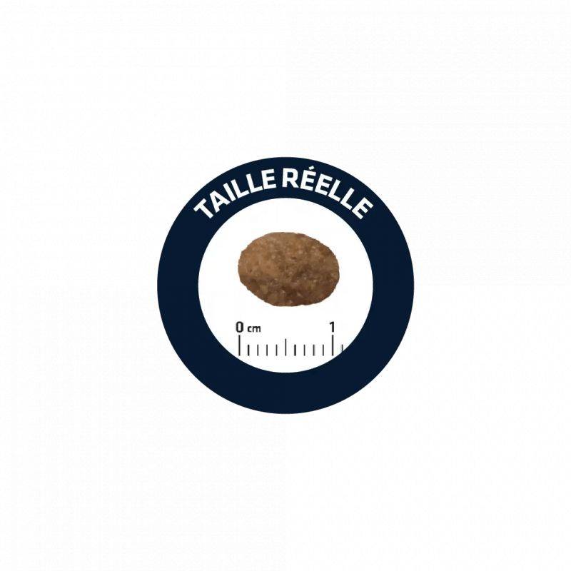 CROQUETTES CHAT ADULT SENSITIVE SAUMON RIZ - ADVANCE 10 kg - Image 2
