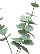 Artificielles - Eucalyptus artificiel en branche, 3 ramures, H 60 cm - BEST - Imagen 4