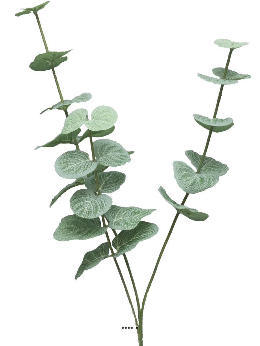 Artificielles - Eucalyptus artificiel en branche, 3 ramures, H 60 cm - BEST - Imagen 2