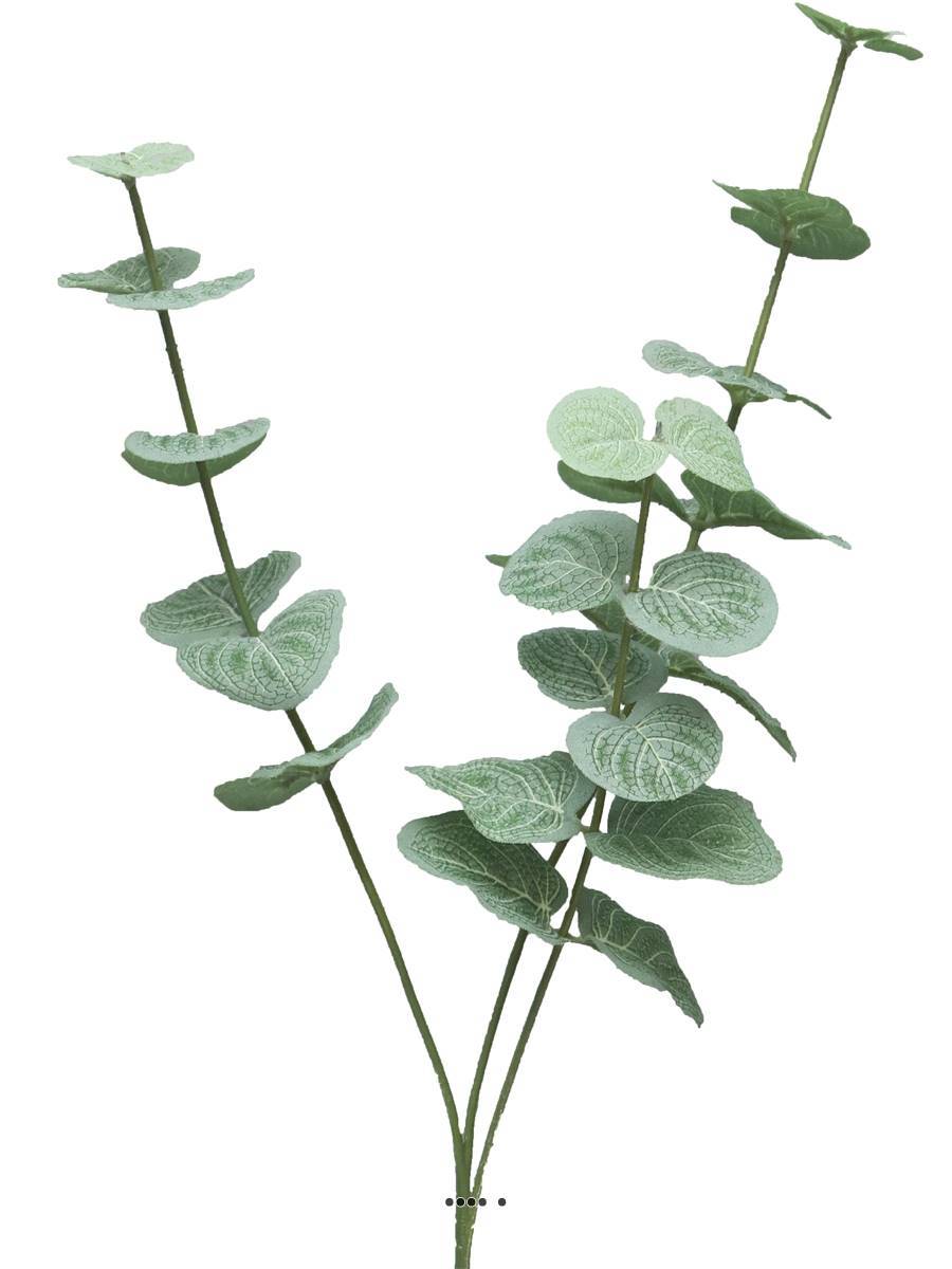 Artificielles - Eucalyptus artificiel en branche, 3 ramures, H 60 cm - BEST - Imagen 3