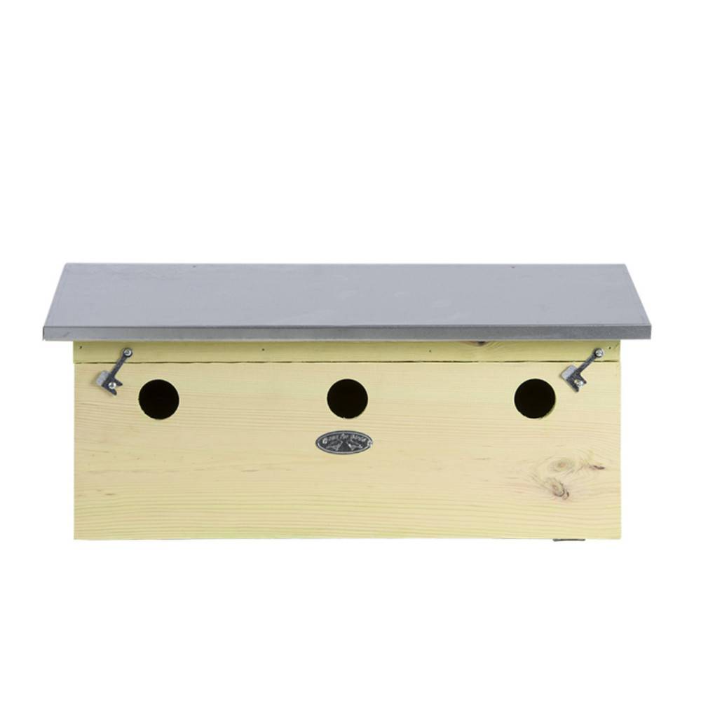 animallparadise - Appartement pour moineaux, horizontal, en bois pin, zinc, pour oiseaux. - Imagen 8