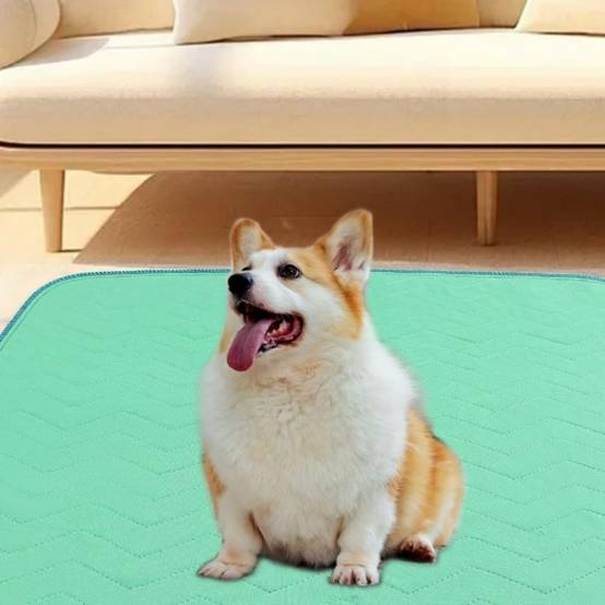 IntiMeg - Coussinet urinaire réutilisable pour chien IntiMeg - Image 4