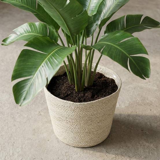 Cache-pot panier tressé - D.22cm x H.19cm - Image 5
