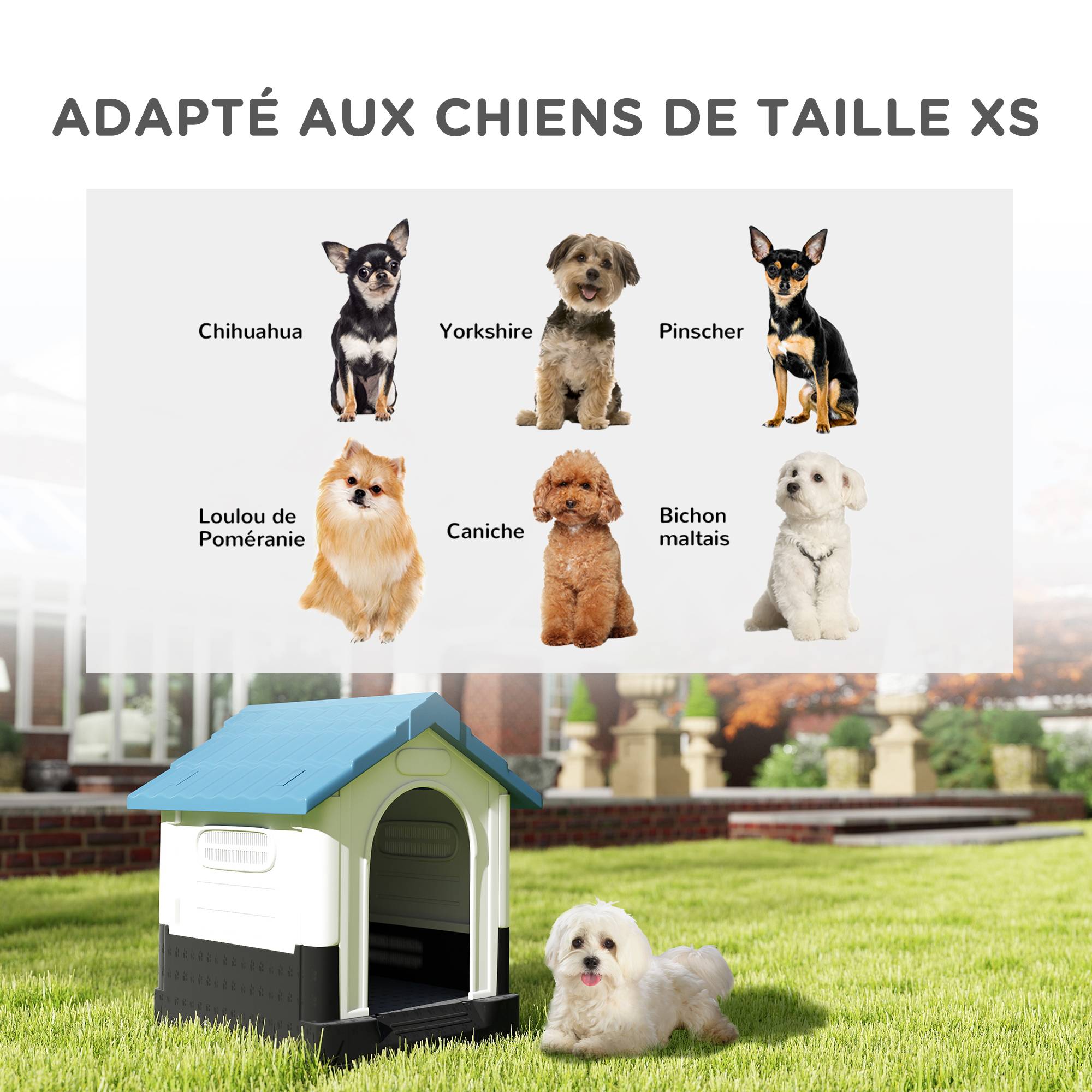 Niche cottage plastique PP pour petit chien avec toit en pente 64x57x66cm blanc bleu - ComfortXL Outdoor Living - Image 6