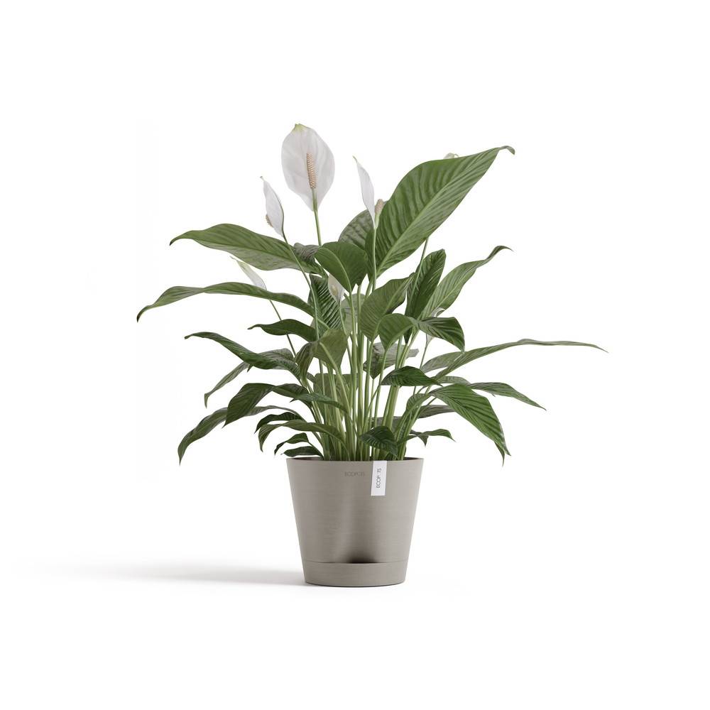 Ecopots - Pot Rond Venice 2 Taupe + réservoir d'eau - Ø 20 x H. 17,5 cm - 4 L ECOPOTS